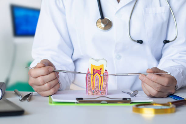 Best Emergency Dentist for Lost Fillings or Crowns in Grundy, VA
